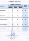 Vista preliminar de documento PUBLICACIÓN DE RESULTADOS FINALES (PLAZAS N° 01 Y 10) DEL PROCESO CAS N°001-2023-MDJ