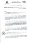 Vista preliminar de documento RD- 2478