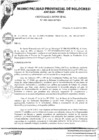 Vista preliminar de documento Ordenanza Municipal