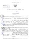 Vista preliminar de documento Resolución Directoral N° 2007- 2023 
