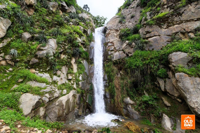 catarata cuchimachay