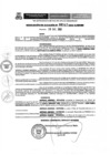 Vista preliminar de documento ra5472021ampmn