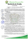 Vista preliminar de documento RESOLUCION DE ALCALDIA Nº264-2023-MPM-A