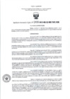 Vista preliminar de documento RD- 2499