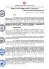 Vista preliminar de documento RDE Nº 089-2023-MIDAGRI-PROVRAEM-DE.