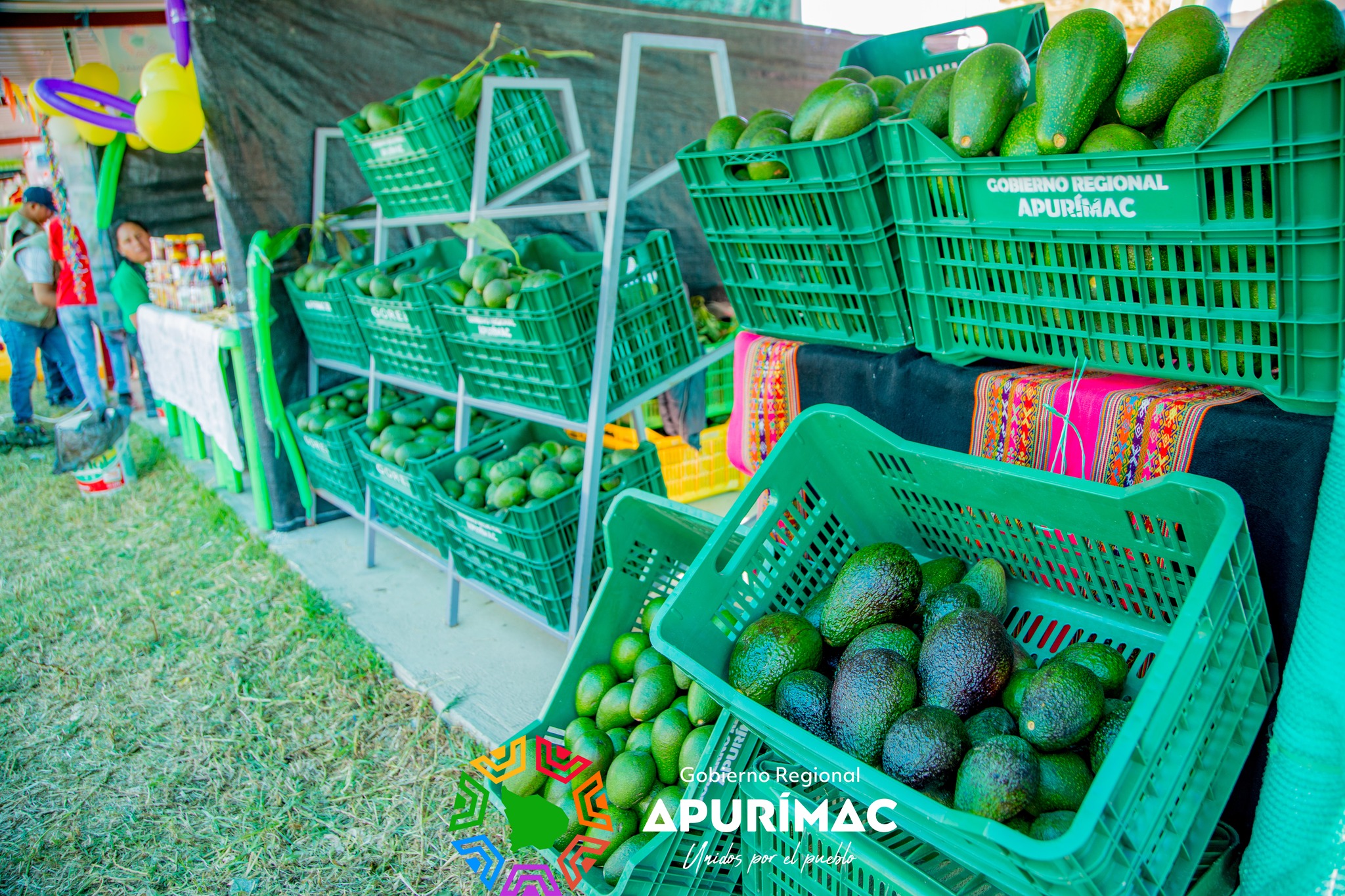¡Reactivación Económica! Productores empezaron a comercializar lo mejor de sus productos en la XXXVI Feria San Antonio 2023