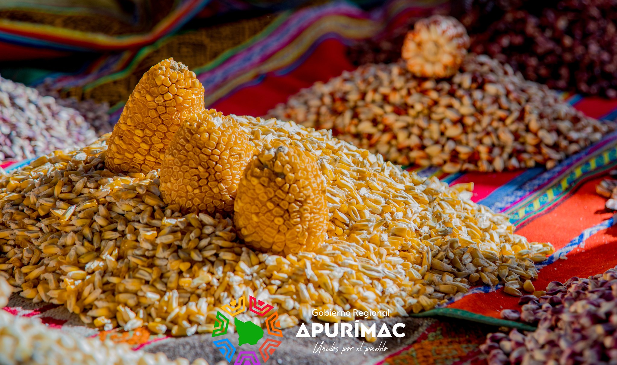 ¡Reactivación Económica! Productores empezaron a comercializar lo mejor de sus productos en la XXXVI Feria San Antonio 2023