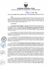 Vista preliminar de documento RDR N° 0400-2023-13-07-2023