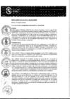 Vista preliminar de documento RESOLUCIÓN DE ALCALDÌA Nº308