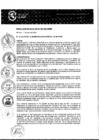 Vista preliminar de documento RESOLUCIÓN DE ALCALDÌA Nº307