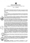 Vista preliminar de documento RESOLUCION DIRECTORAL N° 353 - 2023