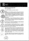 Vista preliminar de documento RESOLUCIÓN DE ALCALDÌA Nº295