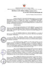 Vista preliminar de documento RDE Nº 123-2023-MIDAGRI-PROVRAEM-DE