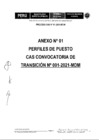 Vista preliminar de documento PROCURADOR PUBLICO MUNICIPAL