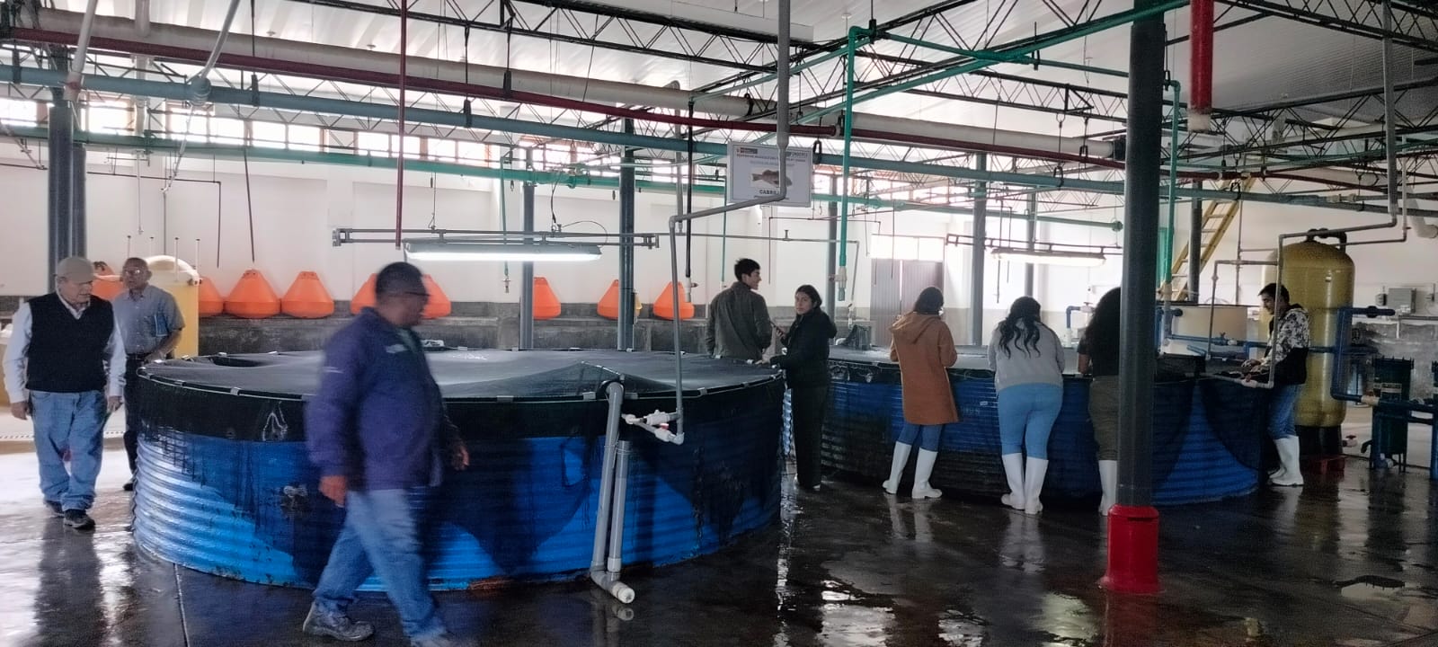 N2 Univ