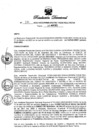 Vista preliminar de documento RESOLUCION DIRECTORAL N° 371 - 2023