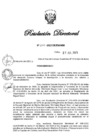 Vista preliminar de documento RD N° 263-2023