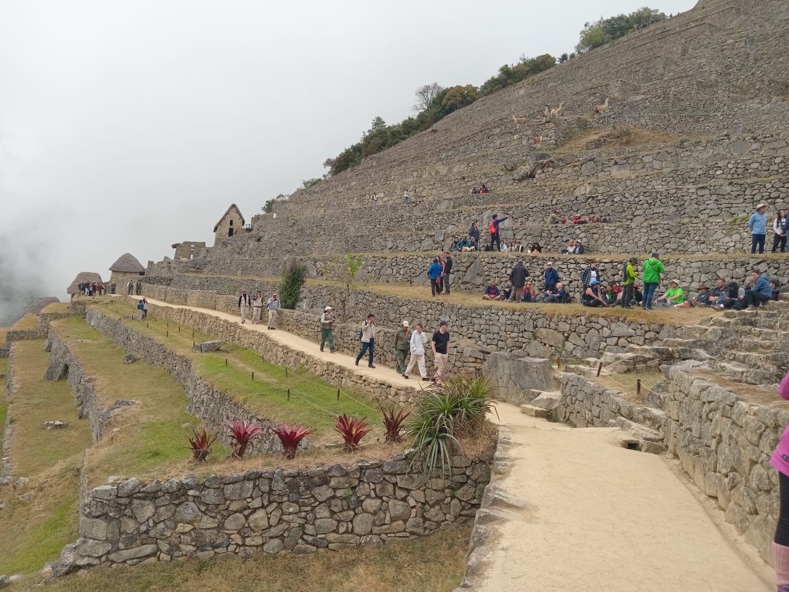 Ministerio de Cultura: Más de 26 mil visitantes llegaron a la llaqta de Machupicchu en la semana de Fiestas Patrias