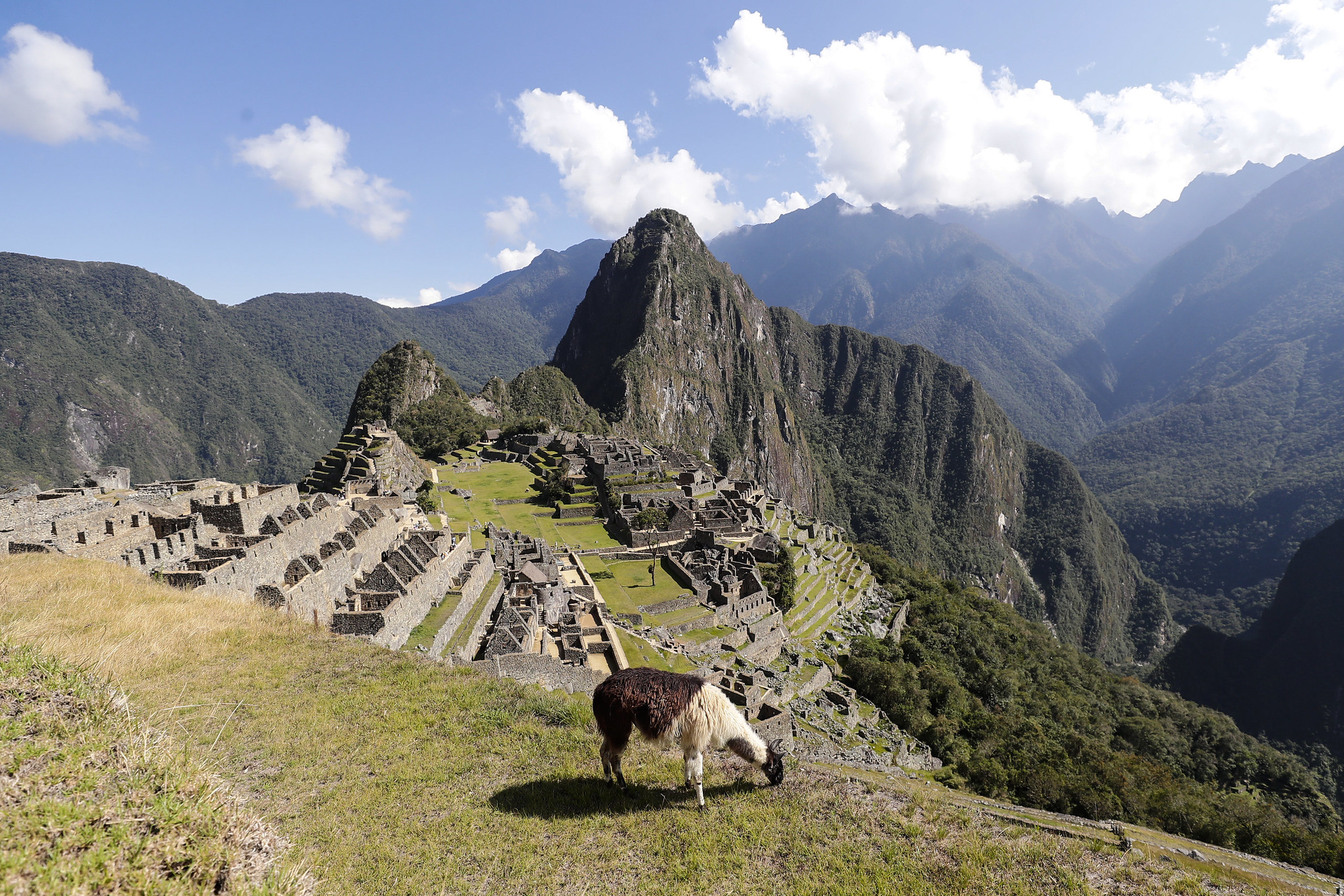 Ministerio de Cultura: Más de 26 mil visitantes llegaron a la llaqta de Machupicchu en la semana de Fiestas Patrias