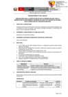 Vista preliminar de documento 04 Convocatoria 026 SD Procesamiento[R][R][R][R]
