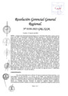 Vista preliminar de documento RGGR 186-2023-GRL-GGR
