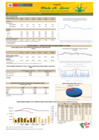 Vista preliminar de documento Boletín de comercialización de MAÍZ AMARILLO DURO  - 31/07/23