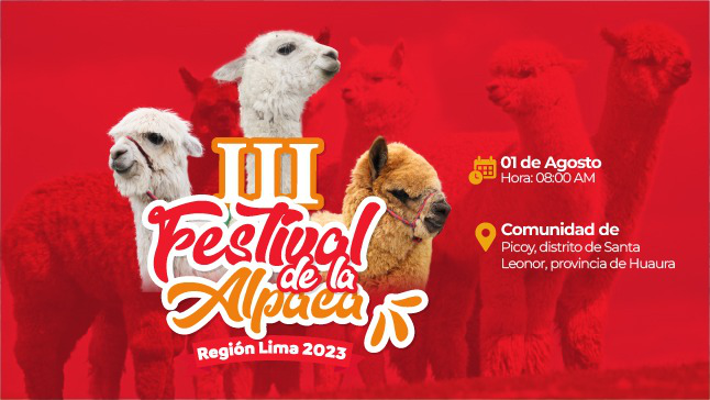 III Festival Nacional de la Alpaca se celebrará en la comunidad de Picoy en Santa Leonor - Huaura