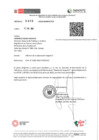 Vista preliminar de documento Informe Operación Anguila II