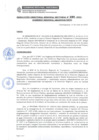 Vista preliminar de documento RDRS 280-2023 