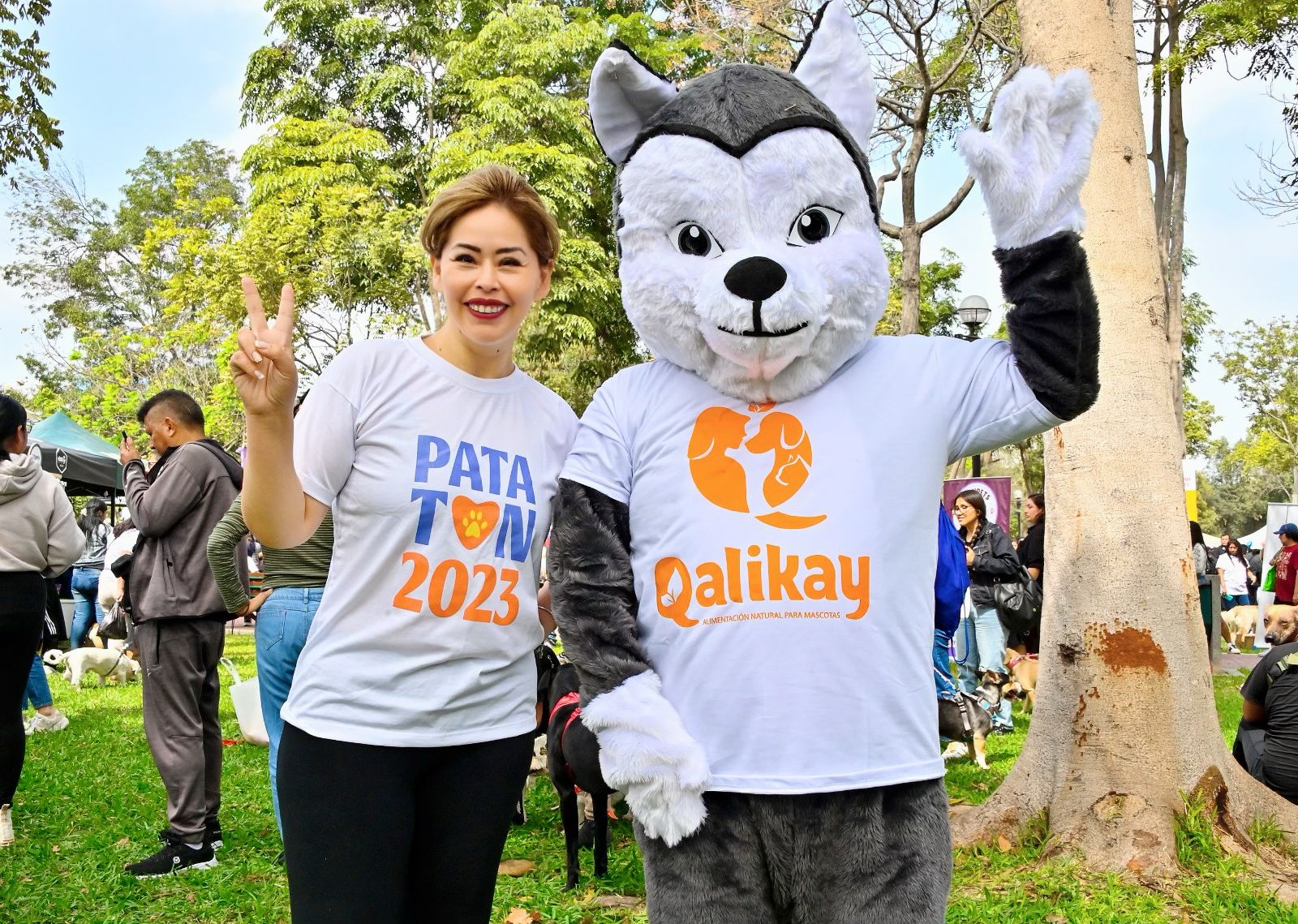 Pataton 2023