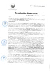 Vista preliminar de documento RD - 163-2023-DG/INSM "HD-HN"