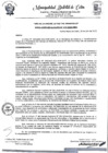 Vista preliminar de documento Responsable del Software Público.