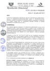 Vista preliminar de documento R.D.N°354-2023-HGJ-DE