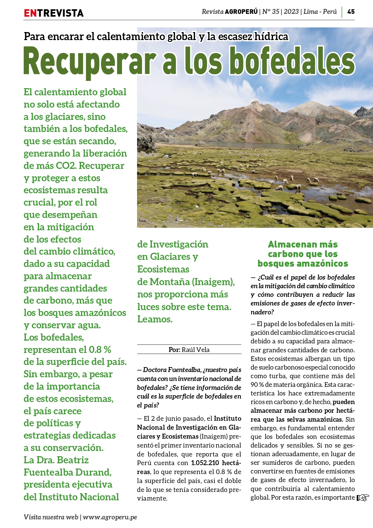 El calentamiento global
no solo está afectando
a los glaciares, sino
también a los bofedales,
que se están secando,
generando la liberación
de más CO2. Recuperar
y proteger a estos
ecosistemas resulta
crucial, por el rol
que desempeñan
en la mitigación
de los efectos
del cambio climático,
dado a su capacidad
para almacenar
grandes cantidades
de carbono, más que
los bosques amazónicos
y conservar agua.
Los bofedales,
representan el 0.8 %
de la superficie del país.
Sin embargo, a pesar
de la importancia
de estos ecosistemas,
el país carece
de políticas y
estrategias dedicadas
a su conservación.
La Dra. Beatriz
Fuentealba Durand,
presidenta ejecutiva
del Instituto Nacional 
