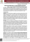 Vista preliminar de documento Res. Direc. 3-2023