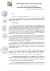 Vista preliminar de documento RA 195