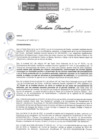 Vista preliminar de documento R.D. Nº132-2023-DG