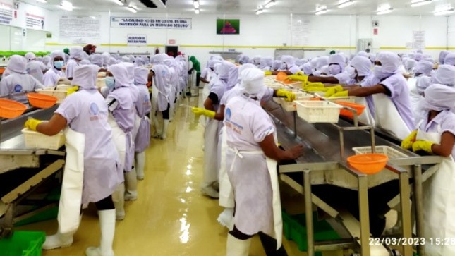 GORE capacitará al sector pesca hacia el cumplimiento de las obligaciones del Planefa 2023