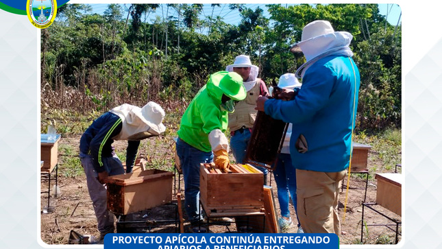 tercera entrega de núcleos de abejas