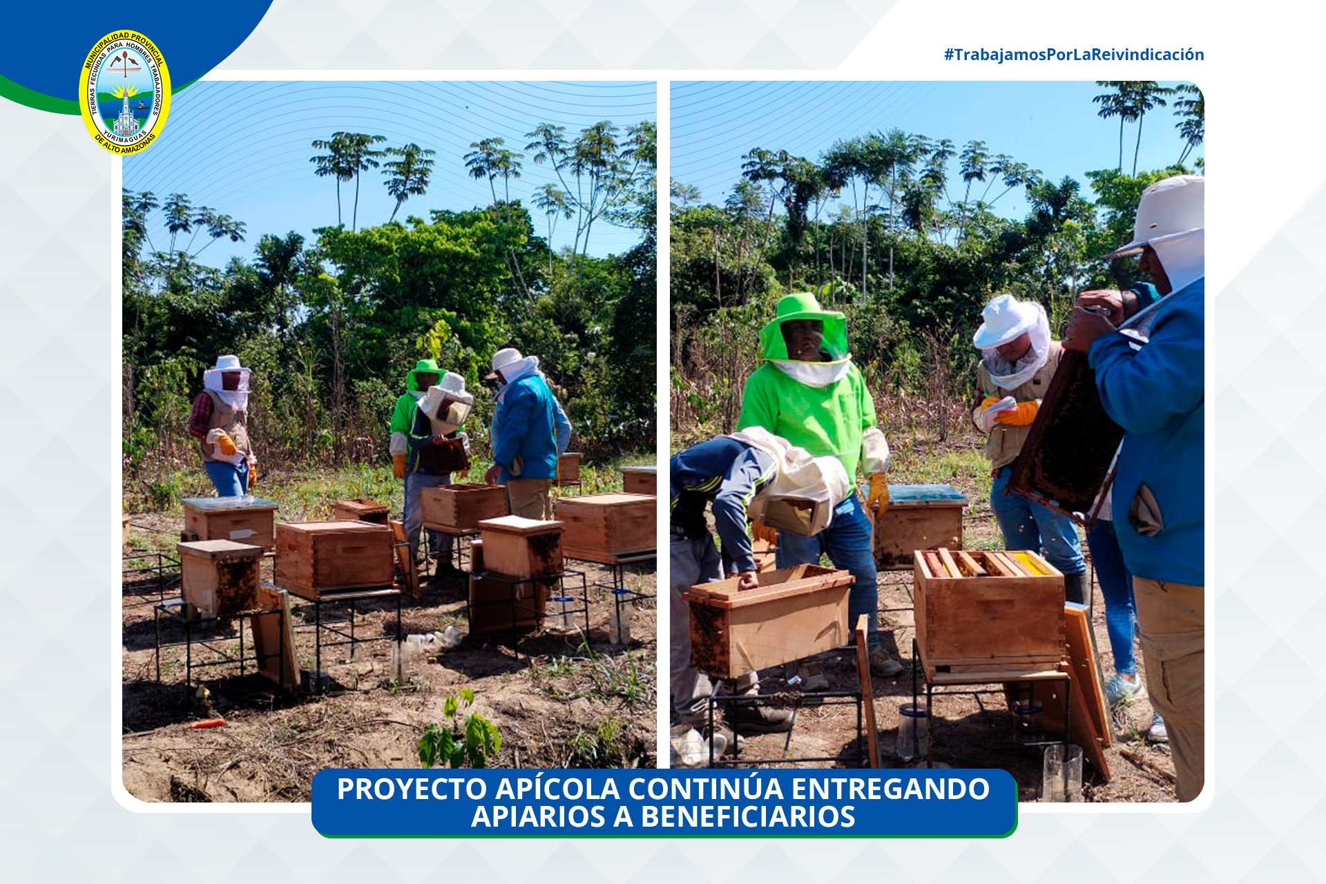 tercera entrega de núcleos de abejas