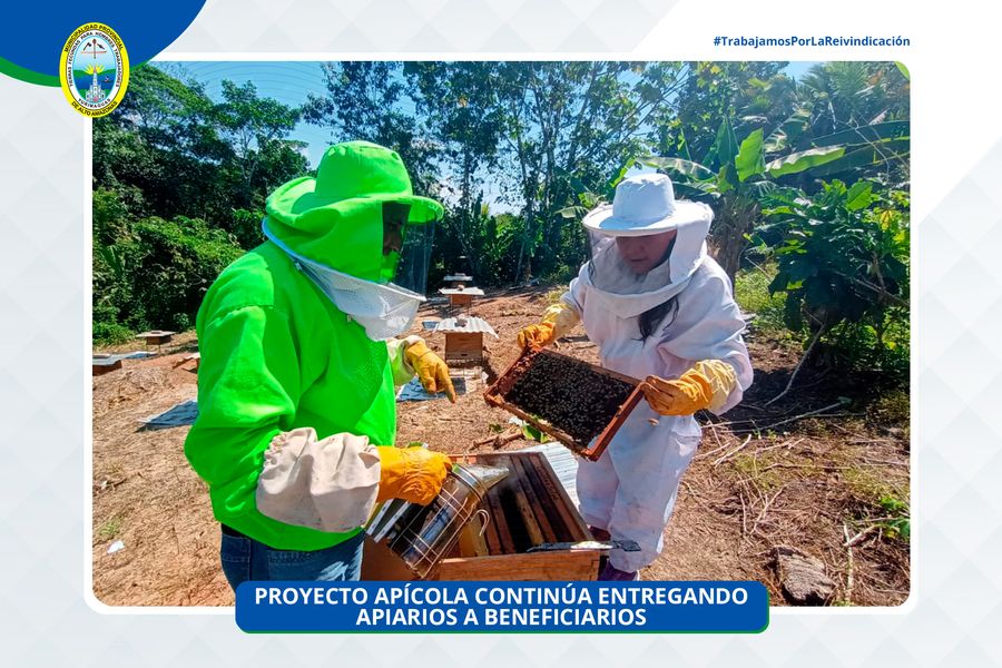 tercera entrega de núcleos de abejas