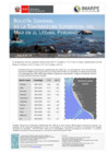 Vista preliminar de documento BS TLP N°29 2023