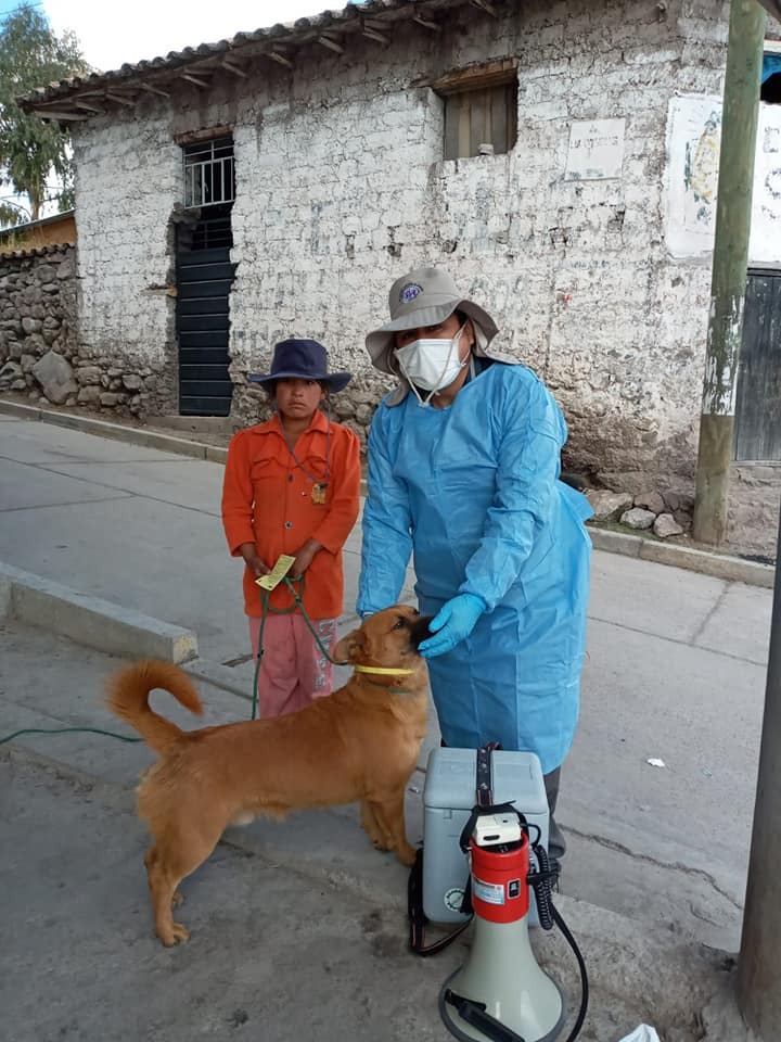 Fotografía 