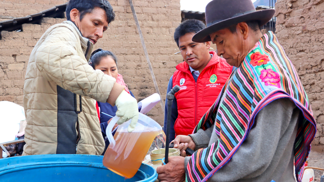 DRA Ayacucho logró la distribución de 50 mil litros de cebo tóxico e instalación de más de 16 mil trampas caseras en parcelas frutícolas