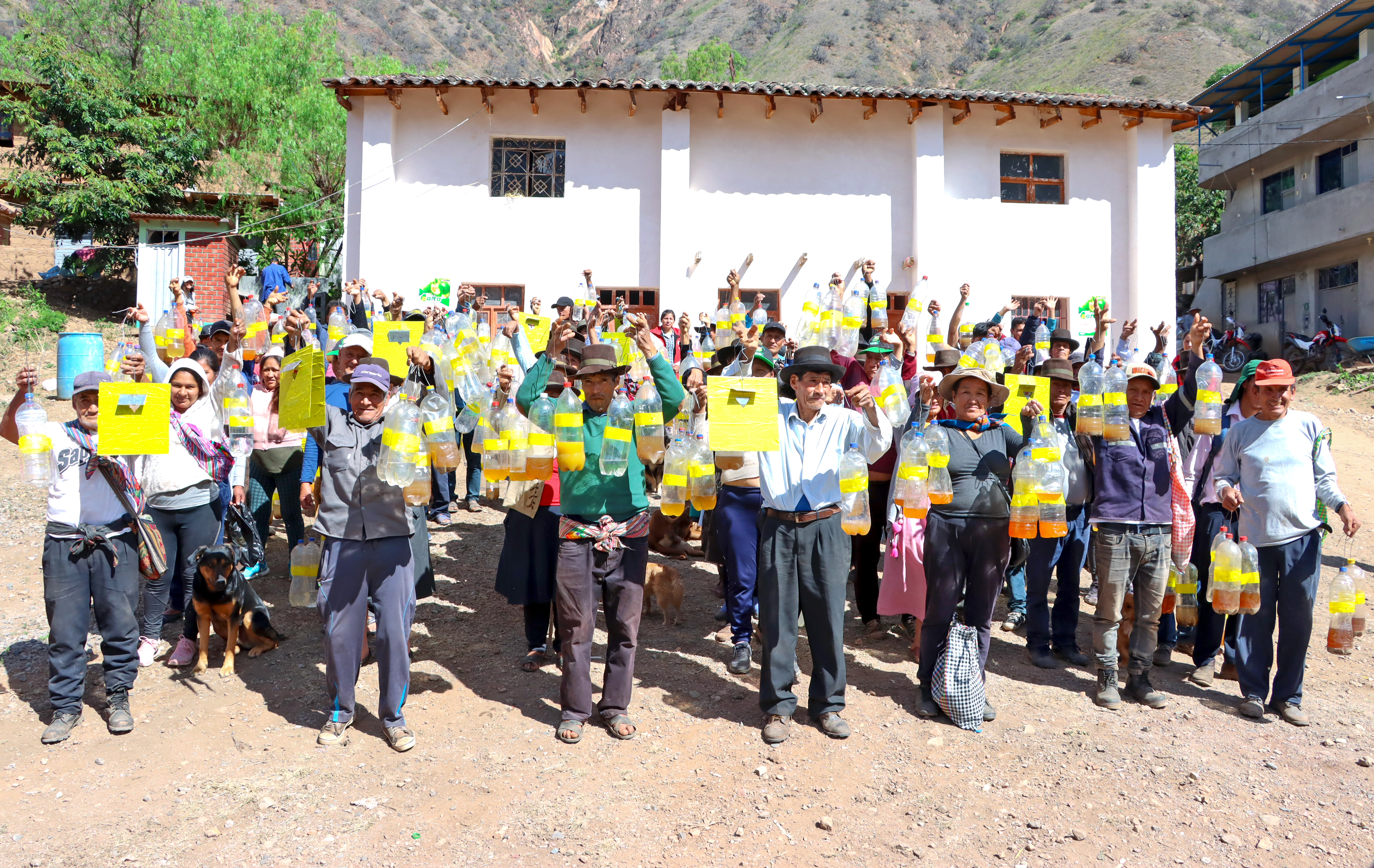 DRA Ayacucho logró la distribución de 50 mil litros de cebo tóxico e instalación de más de 16 mil trampas caseras en parcelas frutícolas
