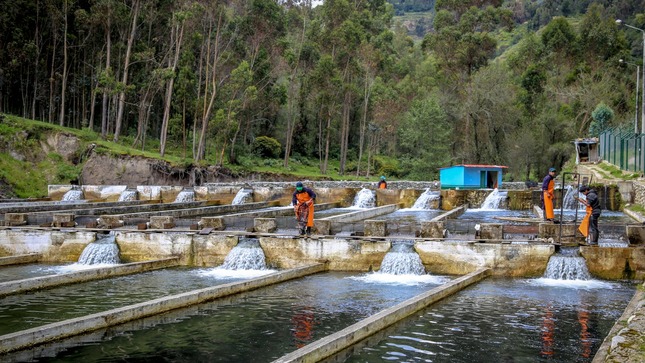 Produce propone modificar el reglamento de la Ley General de Acuicultura para optimizar la producción de dicho sector 