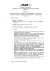 Vista preliminar de documento Anexo N° 01 - Puesto/s Vacante/s