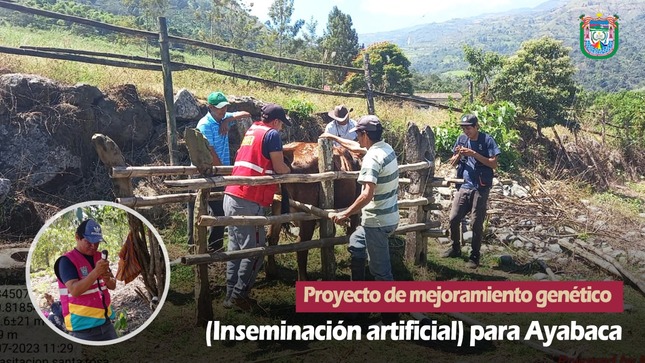 Proyecto de Mejoramiento