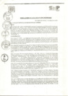 Vista preliminar de documento R. A N° 205-2023