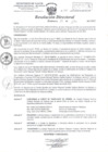 Vista preliminar de documento Resoluciòn Directoral Nº 347-2023-HRHVM-DE-DA-UP